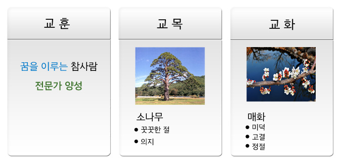 교훈,교목,교화